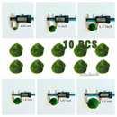 Marimo Moss Balls For Aquarium 3 Month 0.5-0.8cm Marimo Moss Balls: 5/10/20/50PCS Kokedama Japanese Algae Ball Wholesale