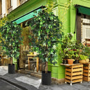 6 Feet Artificial Ficus Silk Tree by LJGDeals
