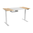 55 x 28 Inch Electric Adjustable Sit to Stand Desk with USB Port-Natural by DirectDeals