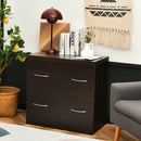2-Drawer File Cabinet with Lock Hinging Bar Letter and Legal Size by LJGDeals
