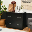 2-Drawer File Cabinet with Lock Hinging Bar Letter and Legal Size by LJGDeals