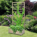 Raised Garden Bed with Trellis for Climbing Plants by LJGDeals