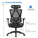 High Back Mesh Executive Chair with Adjustable Lumbar Support by LJGDeals