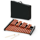 25 Notes Xylophone Wooden Percussion Educational Instrument with 2 Mallets by LJGDeals