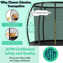 10 Feet ASTM Approved Recreational Trampoline with Ladder by LJGDeals