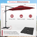 10 Feet Patio Cantilever Umbrella with Easy Tilt Adjustment by LJGDeals