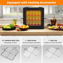 10 Stainless Steel Trays Dryer with 10 Presets-Black by LJGDeals