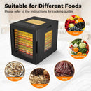 10 Stainless Steel Trays Dryer with 10 Presets-Black by LJGDeals