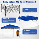 10 X 10 Feet Pop up Canopy Tent with Portable Carrying Bag and 8 Stakes