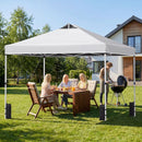 10 x 10 Feet Outdoor Commercial Pop up Canopy Tent by LJGDeals