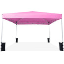 10 x 10 Feet Pop up Canopy Tent with Carrying Bag and 4 Sandbags by LJGDeals