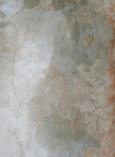 Artistic Collection Area Rug