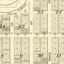 Vintage Map of New Birmingham, Texas 1891