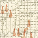 Vintage Map of Callahan County, Texas 1919