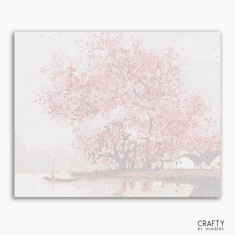 Cherry Blossoms