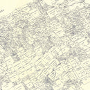 Vintage Map of Navarro County, Texas 1924
