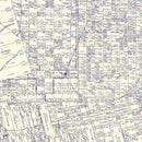 Vintage Map of Jones County, Texas 1921