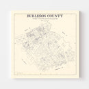 Vintage Map of Burleson County, Texas 1920