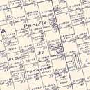 Vintage Map of Howard County, Texas 1922