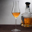 Islands Set of Two Whisky Tasting Glasses Tall by NUDE USA