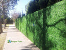 Sample Panel – Dark Boxwood Green Wall (Small Sample) by Designer Plants USA