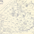 Vintage Map of Madison County, Texas 1922