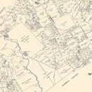 Vintage Map of Wilson County, Texas 1921