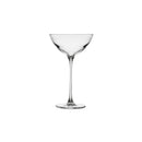 Savage Set of 2 Coupetini Glasses