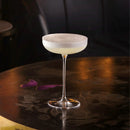 Savage Set of 2 Coupe Glasses by NUDE USA