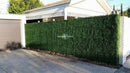 Sample Panel – Dark Boxwood Green Wall (Small Sample) by Designer Plants USA