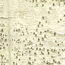 Vintage Battle of Hobkirks Hill Map 1794