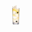 Caldera Set of 4 Highball Glasses small by NUDE USA