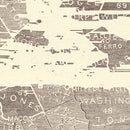 Vintage Georgia Slave Map 1861
