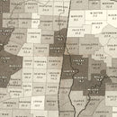 Vintage Map of Slaves in the Southern States 1861