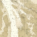 Vintage Charleston Harbor Map 1864
