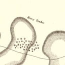 Vintage Fort Henry & Fort Donelson Map 1875