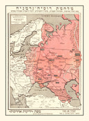 Vintage World War II Map of the Eastern Front 1941
