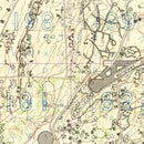 Vintage Iwo Jima World War II Map 1944