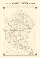 Vintage Map of Marion County, South Carolina 1825