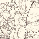 Vintage Map of Horry County, South Carolina 1939