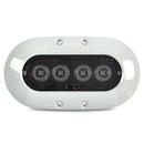 OceanLED X4 Series Underwater Lighting - White Bezel - Colours