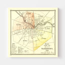 Vintage Map of Watertown, New York 1889