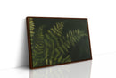 Fernlight in Deep Green