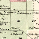 Vintage Map of Pinckney Township, Lewis County, New York 1875