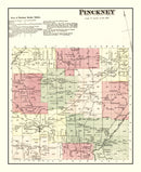 Vintage Map of Pinckney Township, Lewis County, New York 1875