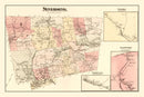 Vintage Map of Neversink Township, Sullivan County, New York 1875