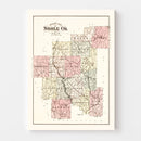 Vintage Map of Noble County, Ohio 1876