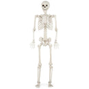5.4 FT Halloween Skeleton Decoration Life Size Large Skeleton by LJGDeals