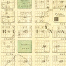 Vintage Map of Ackley, Iowa 1892