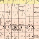 Vintage Map of Henry County, Illinois 1893